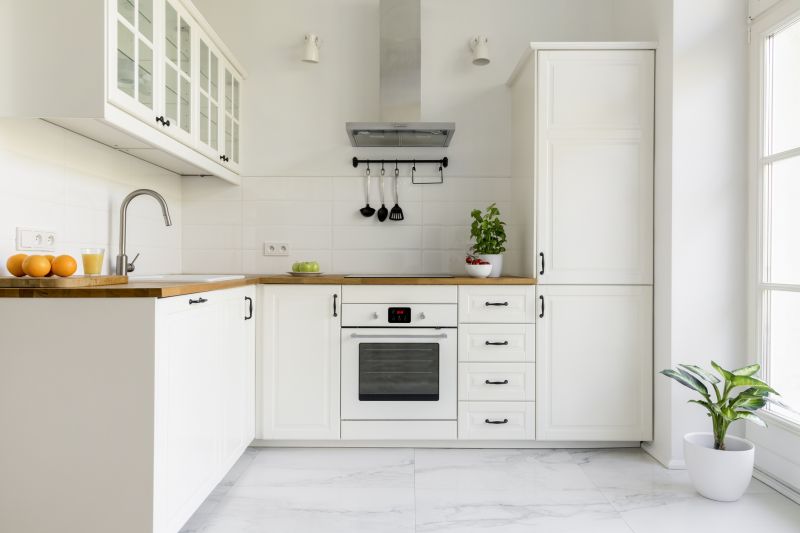 Kitchen Cabinet Design in Santa Rosa, CA