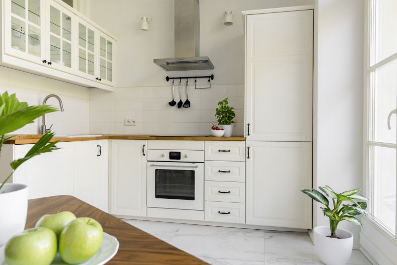 Kitchen Cabinet Design in Santa Rosa, CA